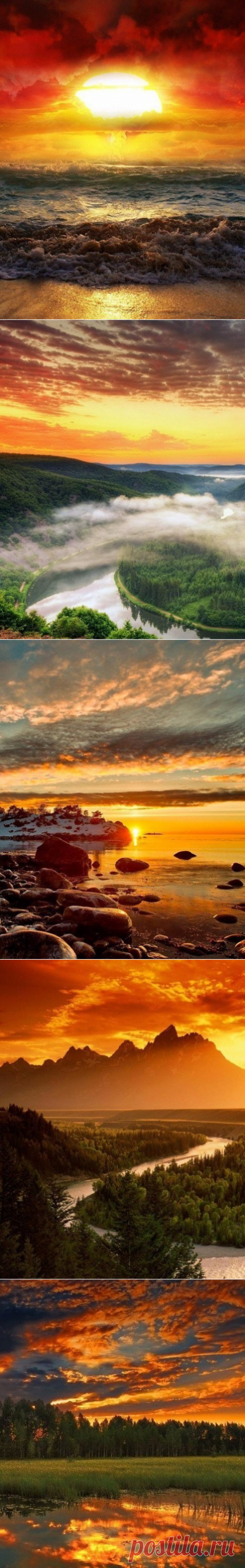 (1) Одноклассники