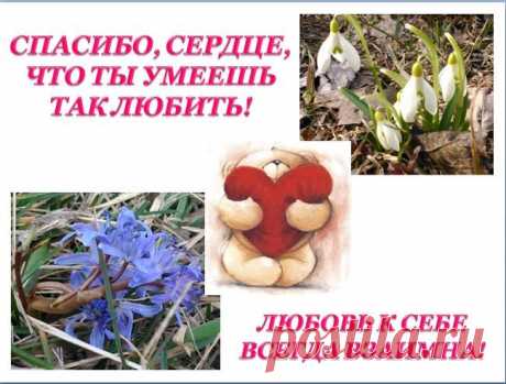 (1) Бады для сердца и сосудов