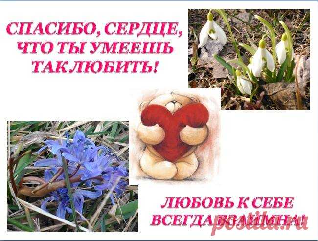 (1) Бады для сердца и сосудов