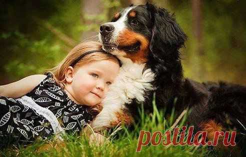 ╰⊰✿⊱╮ТОНЕЧКА╰⊰✿⊱ Бондарева добавила фотографию в альбом ╰⊰✿⊱╮ДРУЗЯКИ...милые малыши и их...