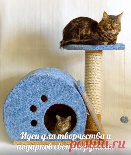 Домик и когтеточка для кошки своими руками