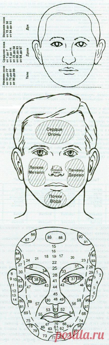 Китайская диагностика по лицу