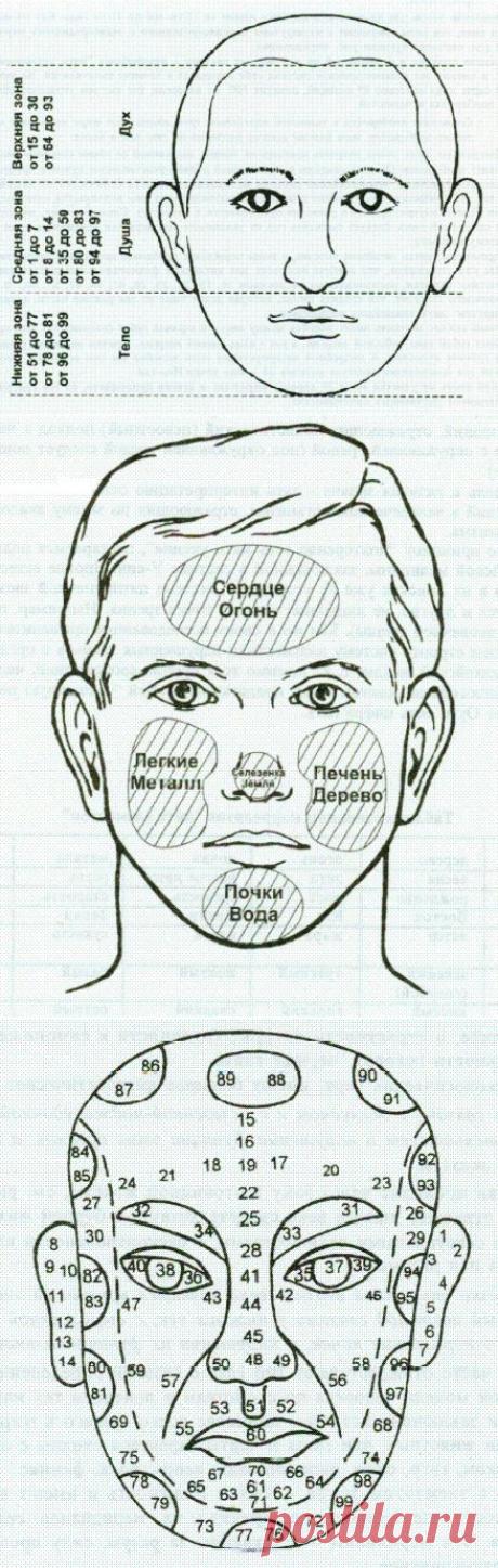 Китайская диагностика по лицу