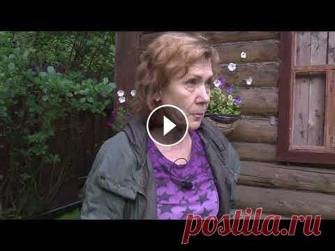 Календарь садовода 30.07.2022 Календарь садовода 30.07.2022...