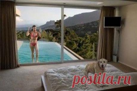 Комнатные растения, очищающие воздух