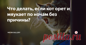 Что делать, если кот орет и мяукает по ночам без причины? Большинство хозяев сталкиваются с тем, что кот не спит ночью и бродит по квартире, жалобно мяукая. Владельцы не видят никаких веских причин для такого ночного 