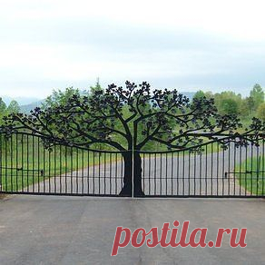 Казахстанский ДАЧНИК - ЦВЕТОВОД