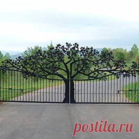 Казахстанский ДАЧНИК - ЦВЕТОВОД