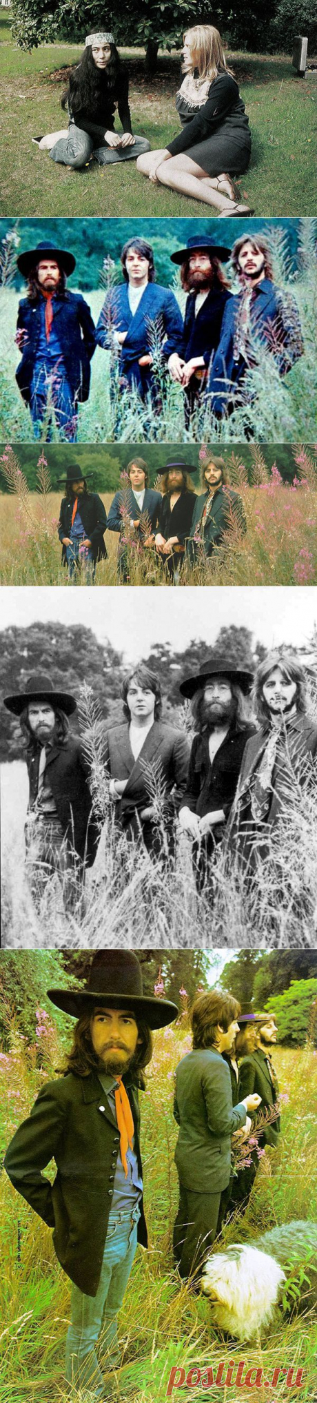 Последняя фотосессия The Beatles / Surfingbird - все, что интересно тебе