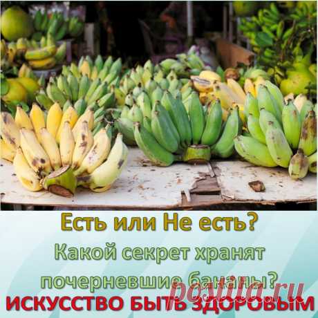 Есть или Не есть? Какой секрет хранят почерневшие бананы?
Эти желтые фрукты любят дети и взрослые, а особенно спортсмены. Однако они богаты не только витаминами, но и сахаром, который многие люди сегодня стараются свести к минимуму в своем рационе.
Чем полезны бананы? Начнем с хороших новостей — бананы очень полезны для человеческого организма. Они быстро выводят лишнюю жидкость, снижая тем самым артериальное давление, а также уменьшая отечность. Эти желтые фрукты — настоящий кладезь витаминов