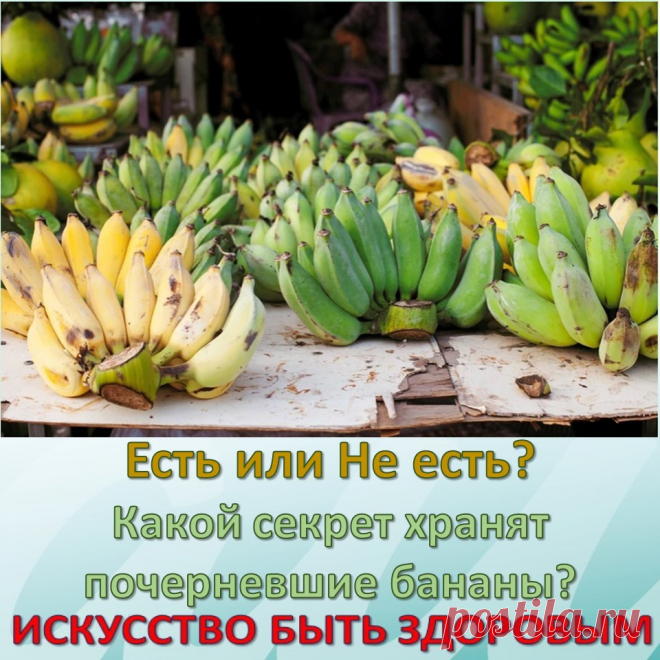 Есть или Не есть? Какой секрет хранят почерневшие бананы?
Эти желтые фрукты любят дети и взрослые, а особенно спортсмены. Однако они богаты не только витаминами, но и сахаром, который многие люди сегодня стараются свести к минимуму в своем рационе.
Чем полезны бананы? Начнем с хороших новостей — бананы очень полезны для человеческого организма. Они быстро выводят лишнюю жидкость, снижая тем самым артериальное давление, а также уменьшая отечность. Эти желтые фрукты — настоящий кладезь витаминов