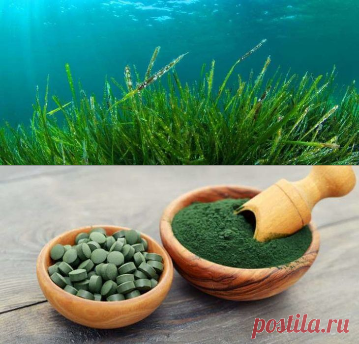 9 болезней, с которыми может расправиться 1 упаковка этих таблеток — Бабушкины секреты