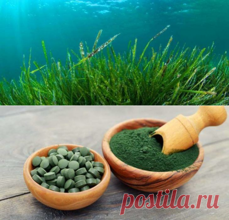 9 болезней, с которыми может расправиться 1 упаковка этих таблеток — Бабушкины секреты