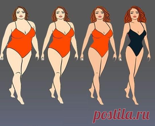 Гормоны и лишний вес: какие отвечают за полноту ~ SLOVESA - журнал о развитии
Что такое гормональный вес?
Какие гормоны увеличивают вес - читайте на портале slovesa.in.ua