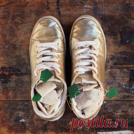 Продолжаем делиться полезными советами по поддержанию ваших вещей в отличном состоянии на долгое время.​🌿 Совет №4. Устали от неприятного запаха обуви? Вы не одиноки. Вот несколько способов &quot;освежить&quot; любимую пару.​😏 1. Положите в обувь свежие, сухие чайные пакетики, чтобы они впитали в себя неприятный запах.​ 2. Положите обувь в полиэтиленовом пакете в морозильную камеру на ночь, чтобы убить бактерии, способствующие возникновению неприятного запаха.​ 3. Насыпьте в обувь немного…