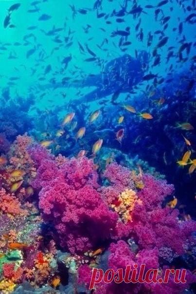 (99) Одноклассники