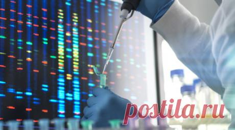 Генетик не исключила наличия врождённой хромосомной патологии у ребёнка в Индии. Опрошенные RT врачи прокомментировали информацию о том, что в Индии появился на свет ребёнок с двумя лицами, четырьмя ногами и руками. Читать далее