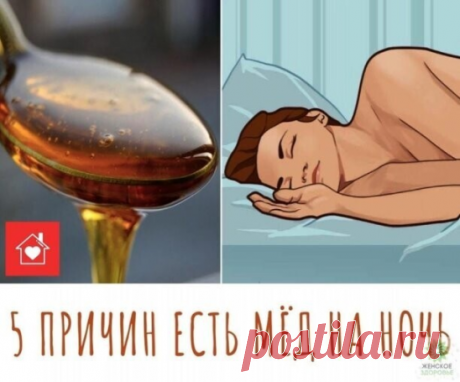 5 ПРИЧИН ЕСТЬ МЁД НА НОЧЬ

Мёд называют съедобным жидким золотом, эликсиром здоровья. В комбинации с различными продуктами в разные периоды дня он положительно воздействует на наш организм.

Вот какая польза от ложечки натурального мёда на ночь:

 1. Помогает уснуть
Мёд называют природным успокоительным. Он способствует выработке мелатонина — гормона, который отвечает за здоровый сон, обновление клеток и восстановление нервной системы. Чайная ложка мёда на ночь — залог хор...