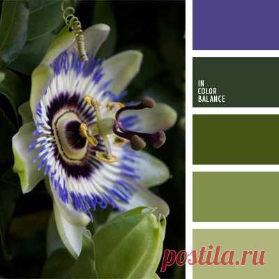 Цветы, деревья — источник вдохновения! | BepHuK собирает друзей