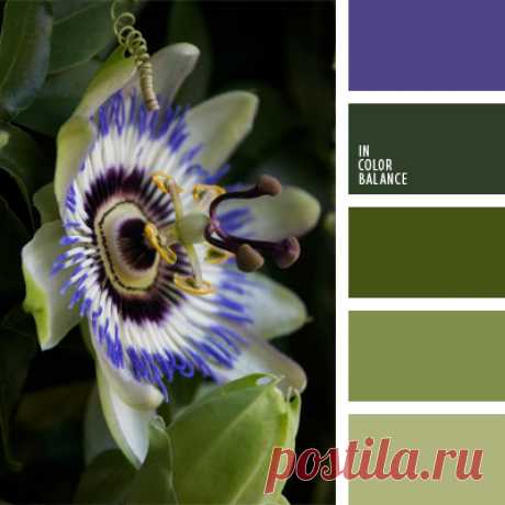 Цветы, деревья — источник вдохновения! | BepHuK собирает друзей