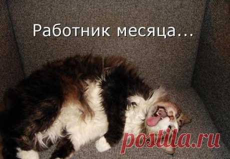 Дмитрий Ларьков