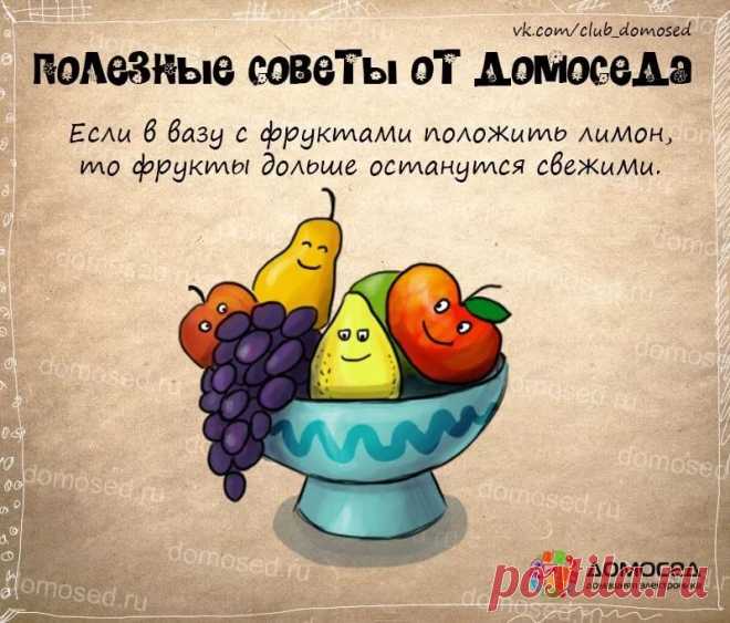 полезные советы на все случаи жизни: 14 тыс изображений найдено в Яндекс.Картинках