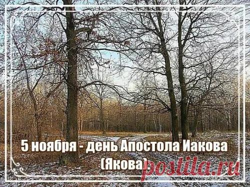 В этот чудесный день хочу пожелать тебе, чтобы твои носки всегда находились в паре, а пульт от телевизора никогда не прятался за диван! Пусть твой ум будет острым, а удача всегда сидит на твоем плече! Открытки на Яков День!