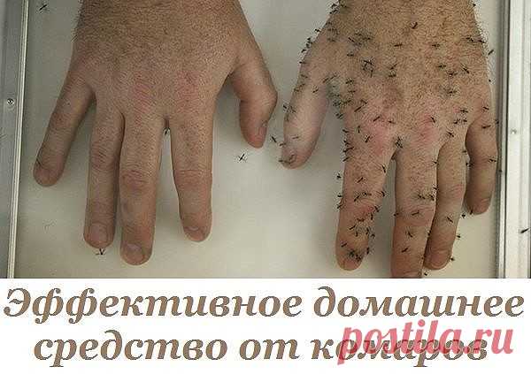 Одноклассники