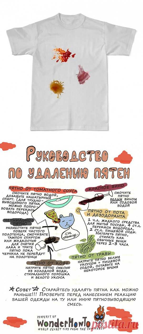 Как выводить разные пятна (инфографика) / Ремонт одежды /