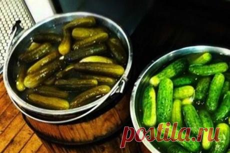 Огурцы солёные в кадке