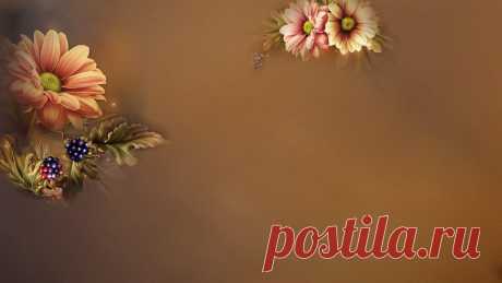 125163276_77.jpg (Изображение JPEG, 1600 × 900 пикселов)