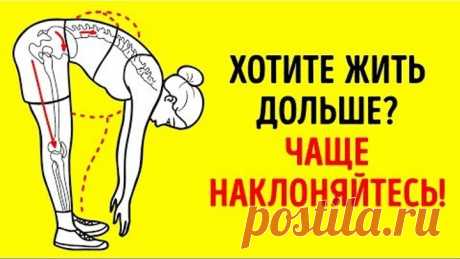 Ученые Раскрыли Упражнения, Которые Помогут Жить Дольше