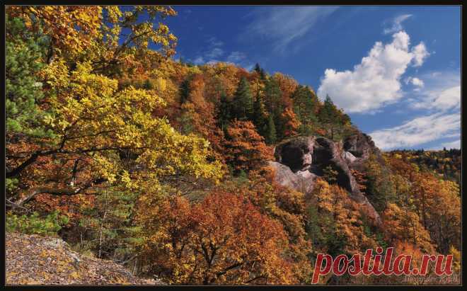 35PHOTO - Александр Круль - Каменный страж осенней сокровищницы...