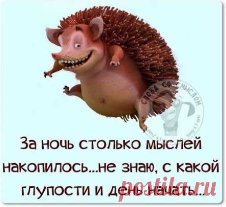 (210) Pinterest