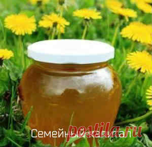 Как варить варенье из одуванчиков.Рецепты варенья и желе из одуванчиков