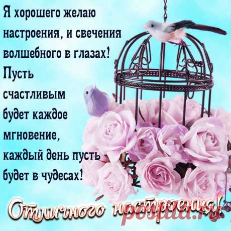 Желаю хорошего настроения и отличного дня!