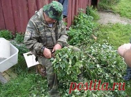 (2) Одноклассники