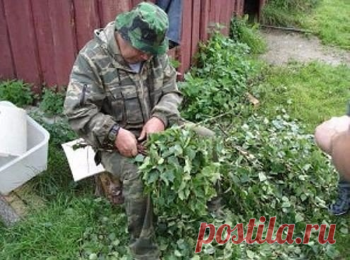 (2) Одноклассники