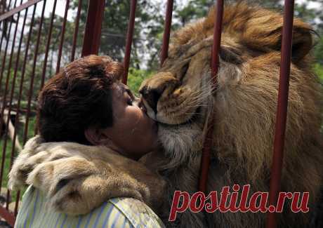 Топ-50 лучших фотографий из мира природы, сделанные настоящими мастерами | BraveDefender