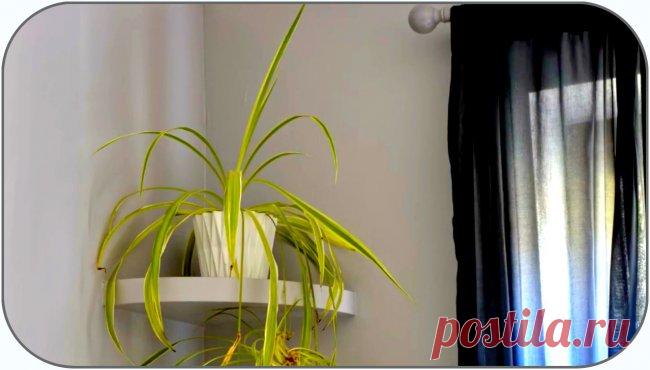 Парящая угловая полка своими руками