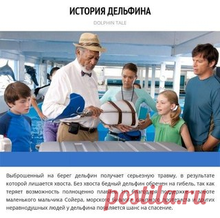 Подборка тёплых душевных лент для тех, кто любит животных