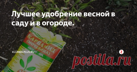 Лучшее удобрение весной в саду и в огороде. Начинается сезон в саду и в огороде, скоро зазеленеют клумбы, грядки, на деревьях появятся листочки. Даже самый начинающий садовод знает, что основные питательные элементы растений – это азот, фосфор и калий, но именно азот необходим для роста новых побегов, листвы, поэтому этот элемент больше всего требуется растениям весной.
Азотная подкормка помогает перезимовавшим растениям, деревьям и кустарн