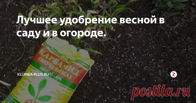 Лучшее удобрение весной в саду и в огороде. Начинается сезон в саду и в огороде, скоро зазеленеют клумбы, грядки, на деревьях появятся листочки. Даже самый начинающий садовод знает, что основные питательные элементы растений – это азот, фосфор и калий, но именно азот необходим для роста новых побегов, листвы, поэтому этот элемент больше всего требуется растениям весной.
Азотная подкормка помогает перезимовавшим растениям, деревьям и кустарн