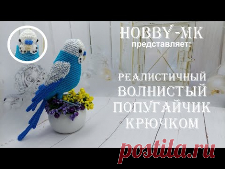 Волнистый попугай крючком Кеша (авторский МК Светланы Кононенко)