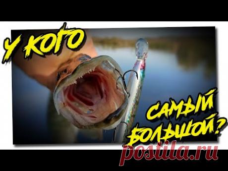 У кого самый БОЛЬШОЙ Воблер? 🤣 #shorts