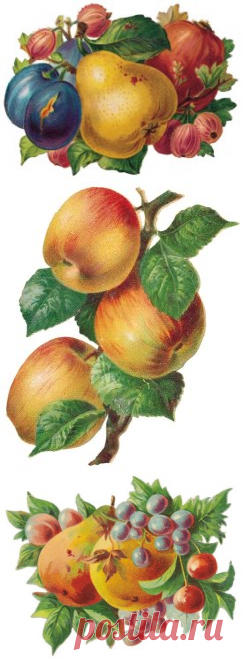 (99) Одноклассники