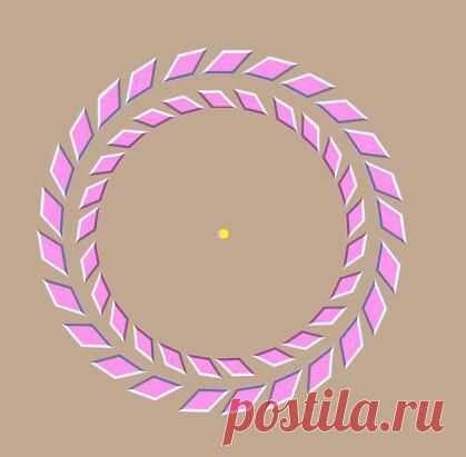 Сконцентрируйтесь на жёлтой точке. Затем приблизьте глаза к монитору — розовые круги начнут вращаться