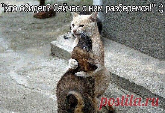 Одноклассники