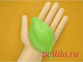 (+1) тема - Антисептики. Что это и как работает | Первая помощь