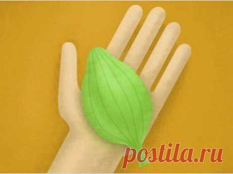 (+1) тема - Антисептики. Что это и как работает | Первая помощь
В России зарегистрировано около 250 торговых названий антисептиков. Некоторые из таких препаратов применяются только в больницах, некоторые необходимо иметь в каждой домашней аптечке, некоторые из этой самой аптечки лучше выбросить, так как в цивилизованном мире от них давно отказались.